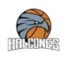 Halcones de Obregon