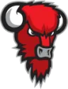 Bisons Loimaa