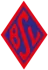 Blumenthaler SV U19