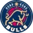 Hong Kong Bulls