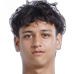 Tiago Vermeulen