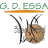 Gdessa Barreiro W