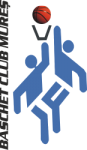 CSM Targu Mures logo