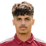 S. Yiğit