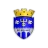 Edineţ
