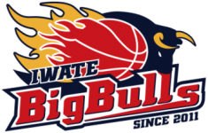 Iwate logo