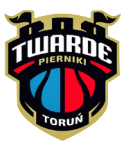 Torun logo