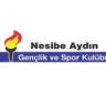 Nesibe Aydin W