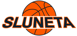 Usti n. Labem logo