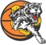 Willetton Tigers