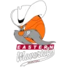 Eastern Mavericks