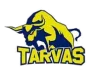 Rakvere Tarvas