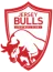 Jersey Bulls