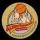 Albert Schweitzer Tournament logo