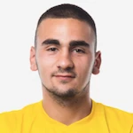 Srđan Nedić