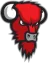 Bisons Loimaa