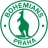 Bohemians 1905