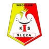 Sleza Wroclaw W