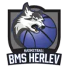 Herlev Wolfpack
