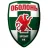 Obolon'-Brovar