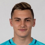 M. Mutavcic