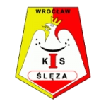 Sleza Wroclaw W logo