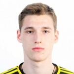 V. Nikhaev