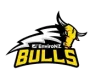 Franklin Bulls