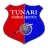 Tunari