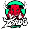 Toros del Valle