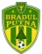Bradul Putna