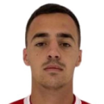 S. Nikolic