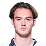 Luka Kapulica