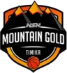 NSH Mountain Gold