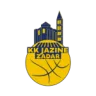 Jazine