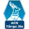 CSM Targu Jiu