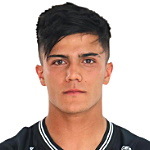 A. N. Tello Cabrera