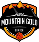 NSH Mountain Gold logo