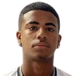 M. Gomes