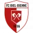 Biel-Bienne
