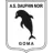 Dauphins Noirs
