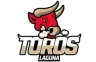 Toros Laguna