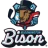 Bloomington Bison