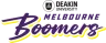 Geelong Venom W
