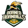 Borneo Hornbills