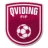 Qviding FIF