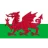 Wales U17