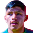 Ronaldiño Saigua Flores