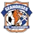 Seahorses