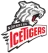 Nurnberg Ice Tigers